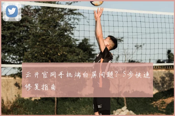 云开官网手机端白屏问题？5步快速修复指南